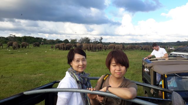 ミンネリヤ国立公園